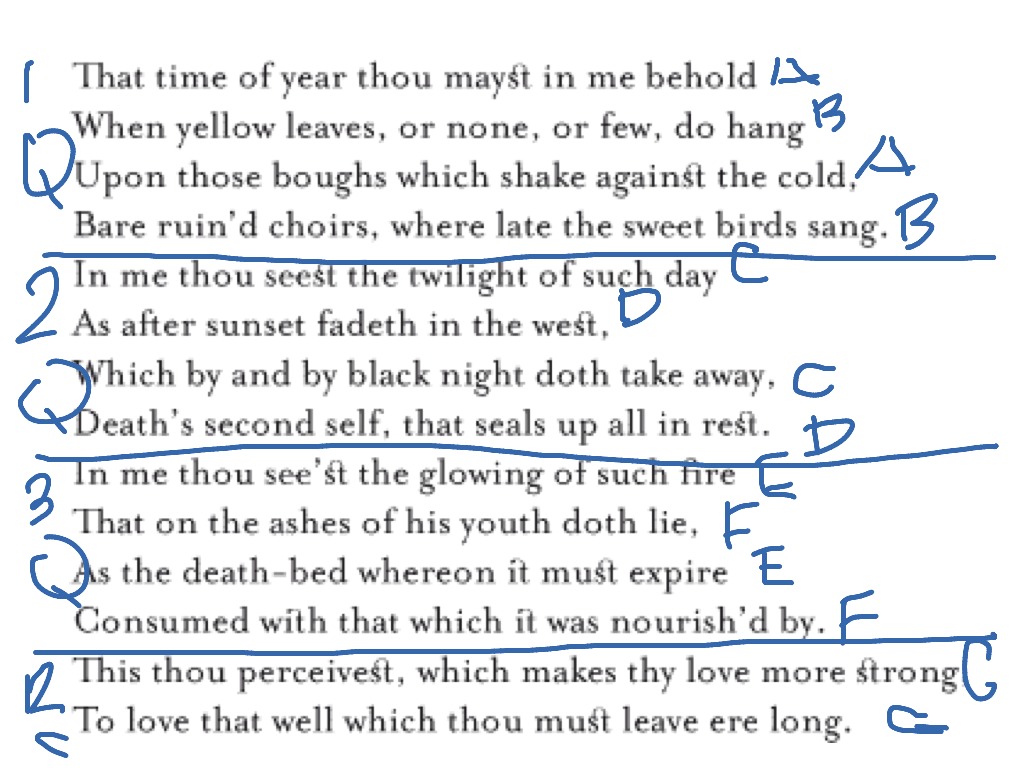 What Is Rhyme Scheme Definition And Examples The Art - vrogue.co