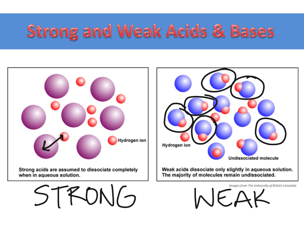 Strong and Weak Acids & Bases | Science, Chemistry | ShowMe diagram strong acid solution 
