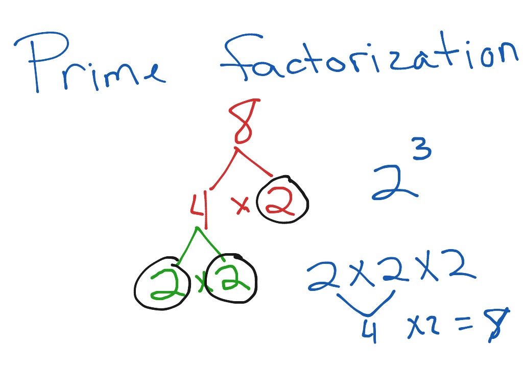 prime-factorization-campbell-math-showme