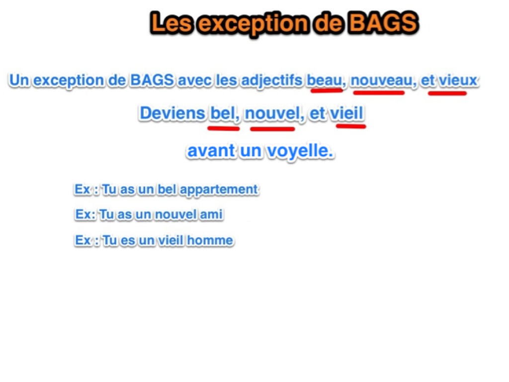 French Adjective Review-BAGS Adjectives by Hands-on language | TPT