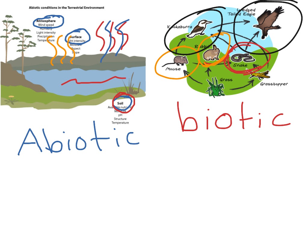 Abiotic and Biotic factors | Science | ShowMe