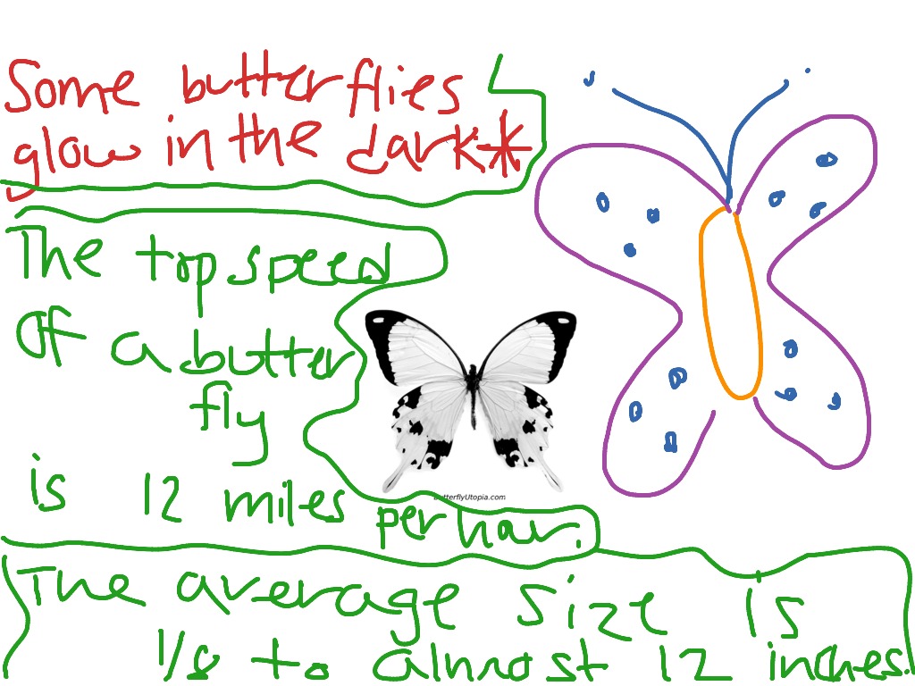 most-viewed-thumbnail