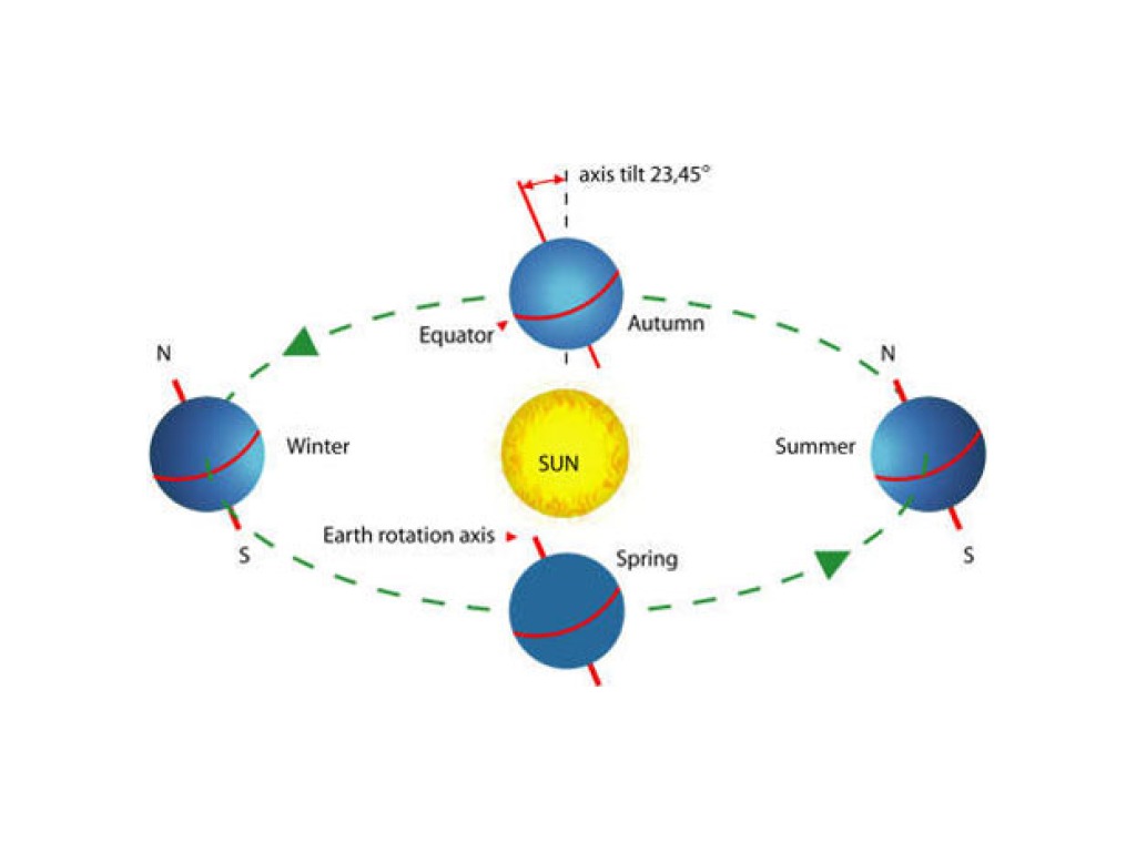 What determines the length of a year? | Science | ShowMe