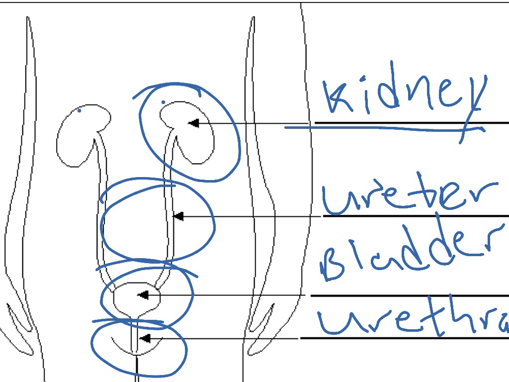 most-viewed-thumbnail
