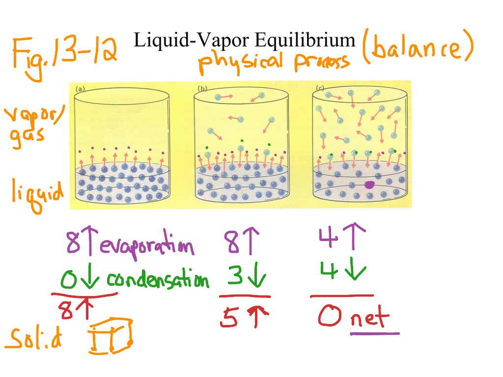 What S The Equilibrium Vapor Pressure Of A Liquid