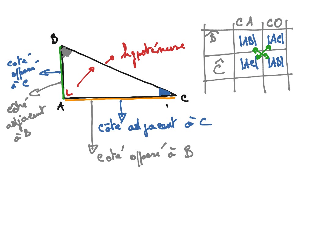 Vocabulaire trigo | Math, Trigonometry, Trig Triangles | ShowMe