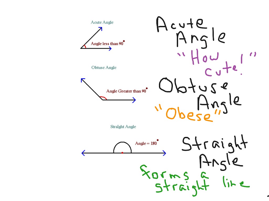 🔍📐 Angle Adventures! 📐🔍 Right Angle: L shape, 90° Acute Angle: Cute  and small, <90° Obtuse Angle: W…