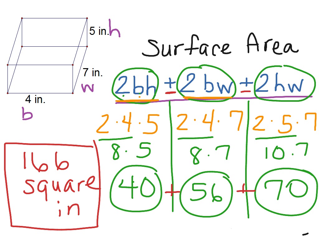  What Is Surface Area In Mathematics Design Talk