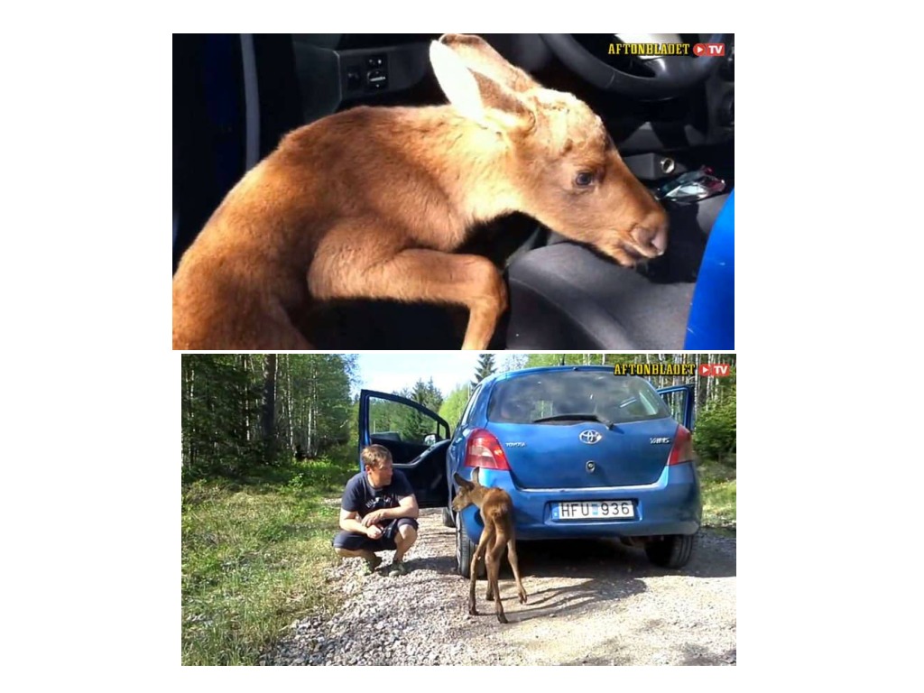 most-viewed-thumbnail
