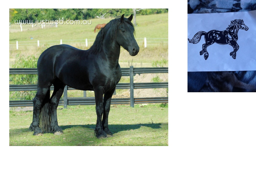 Horses horses ShowMe