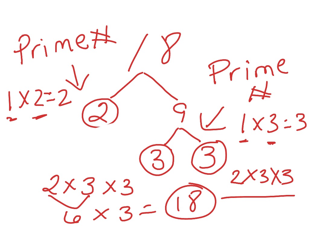 Factor trees | Math | ShowMe