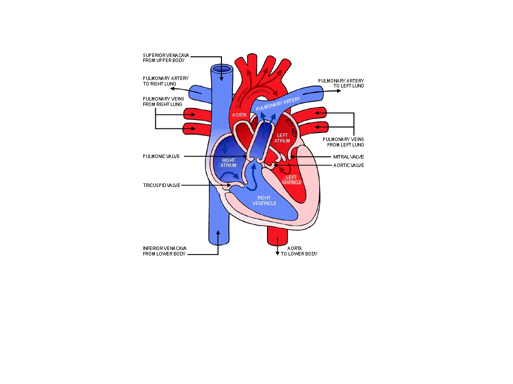 most-viewed-thumbnail