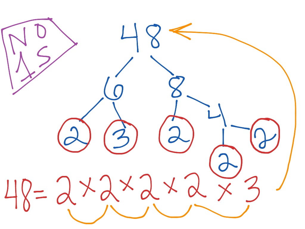 Prime Factorization Math, Elementary Math, 5th grade math ShowMe