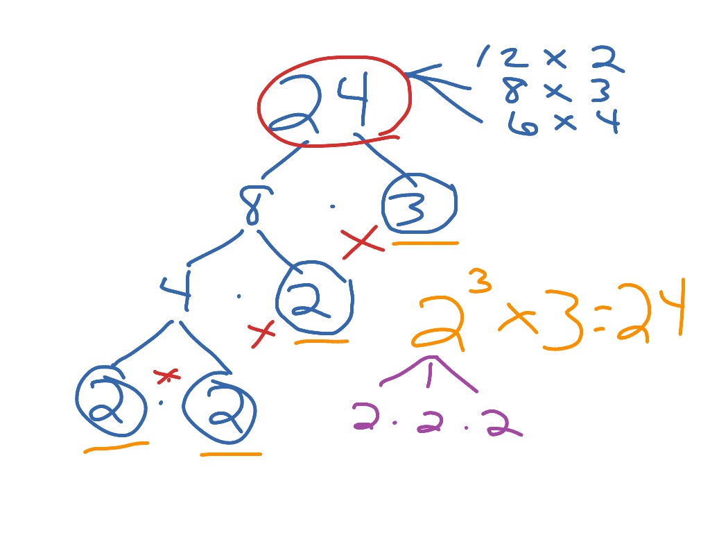 Factoring with tree | Math | ShowMe