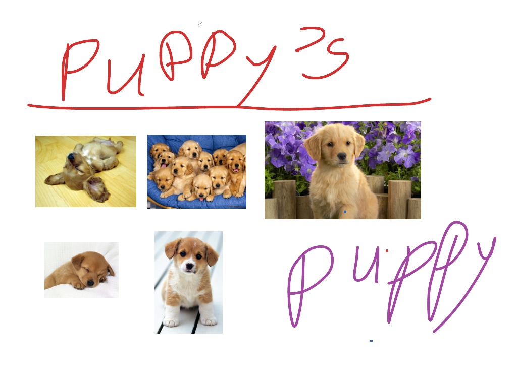 most-viewed-thumbnail
