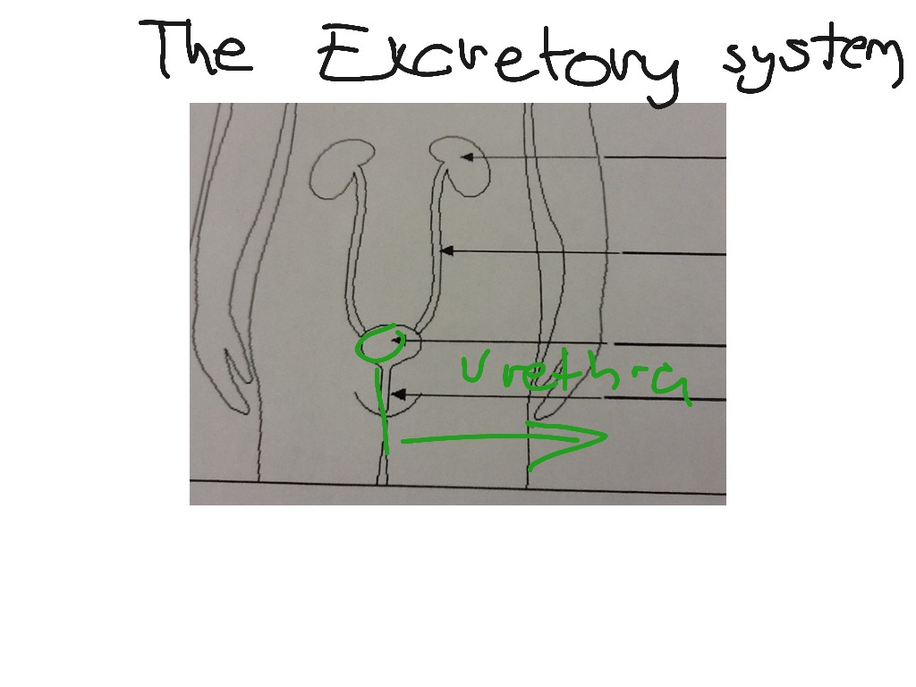 most-viewed-thumbnail