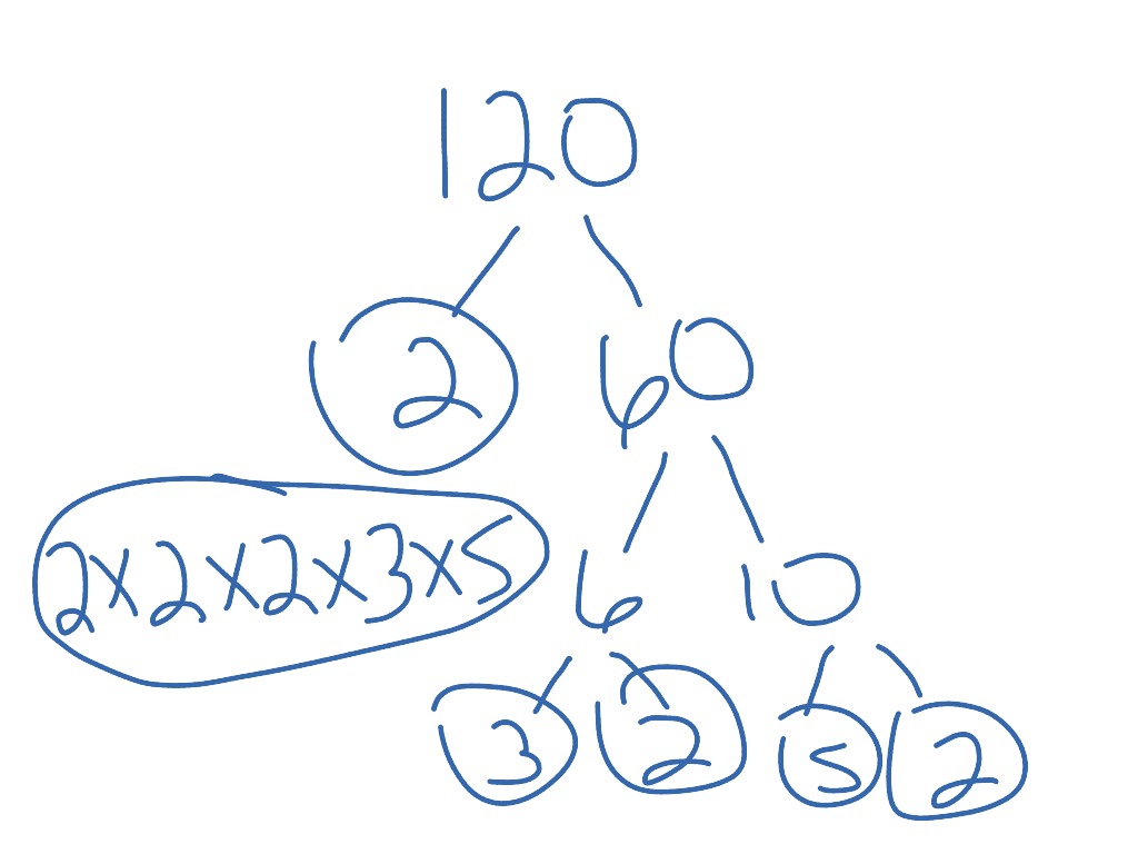 showme-factor-tree-of-250