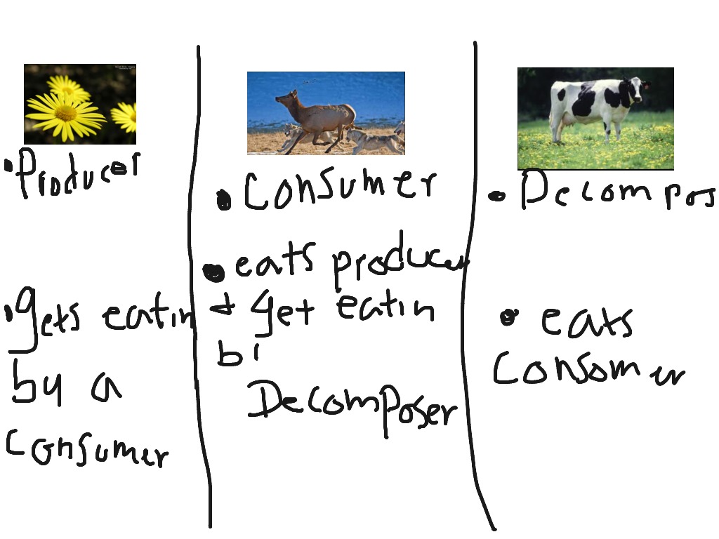 Science, Earthscience, Geology ShowMe