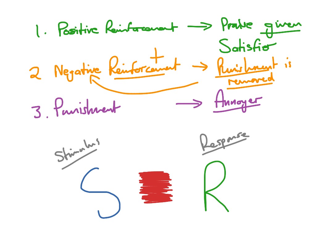 reinforcement-pos-neg-pun-physical-education-showme