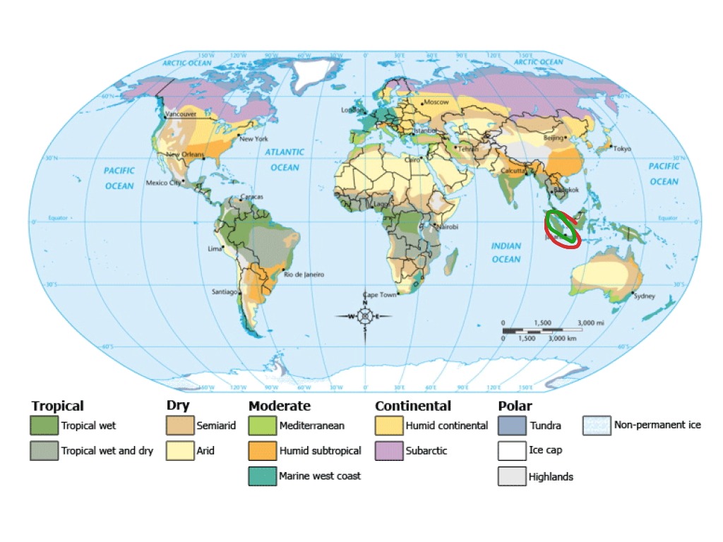 Sumatran Orangutan Climate Map | Science | ShowMe