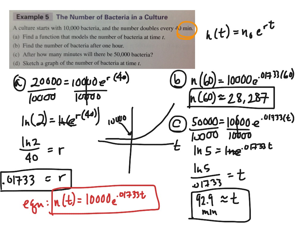 Modeling With Exponential Equations Pop Growth Math Precalculus Exponential Growth And