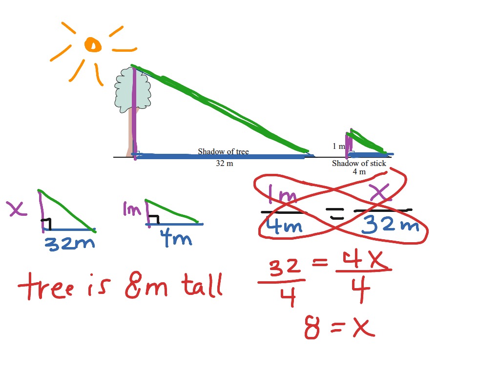 Similar Triangle Shadow Method Math Geometry Triangles Similarity ShowMe