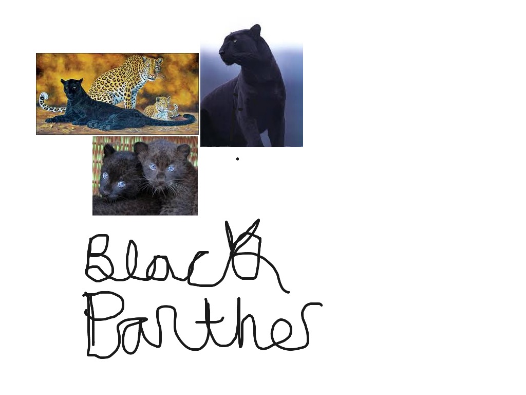 most-viewed-thumbnail