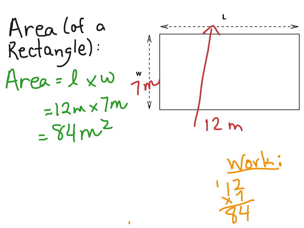 Area Of A Rectangle Math Geometry Area Showme