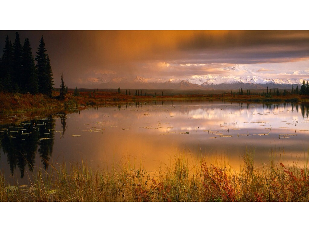 most-viewed-thumbnail