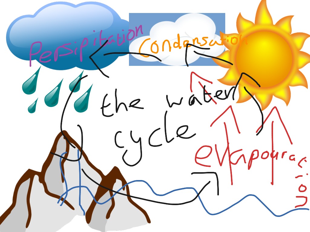 most-viewed-thumbnail