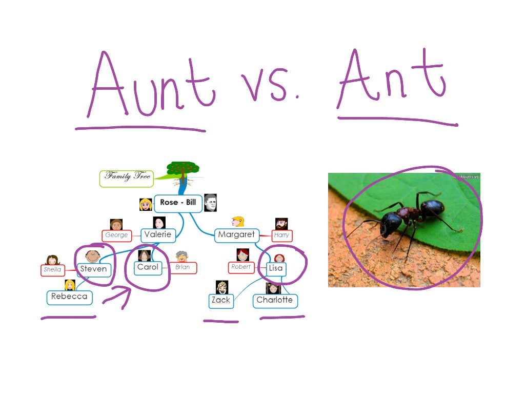 Aunt Vs Ant Language ShowMe   Last Thumb1363790352 