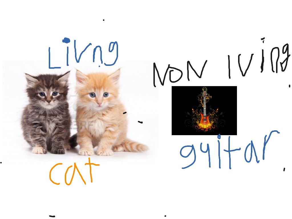 most-viewed-thumbnail