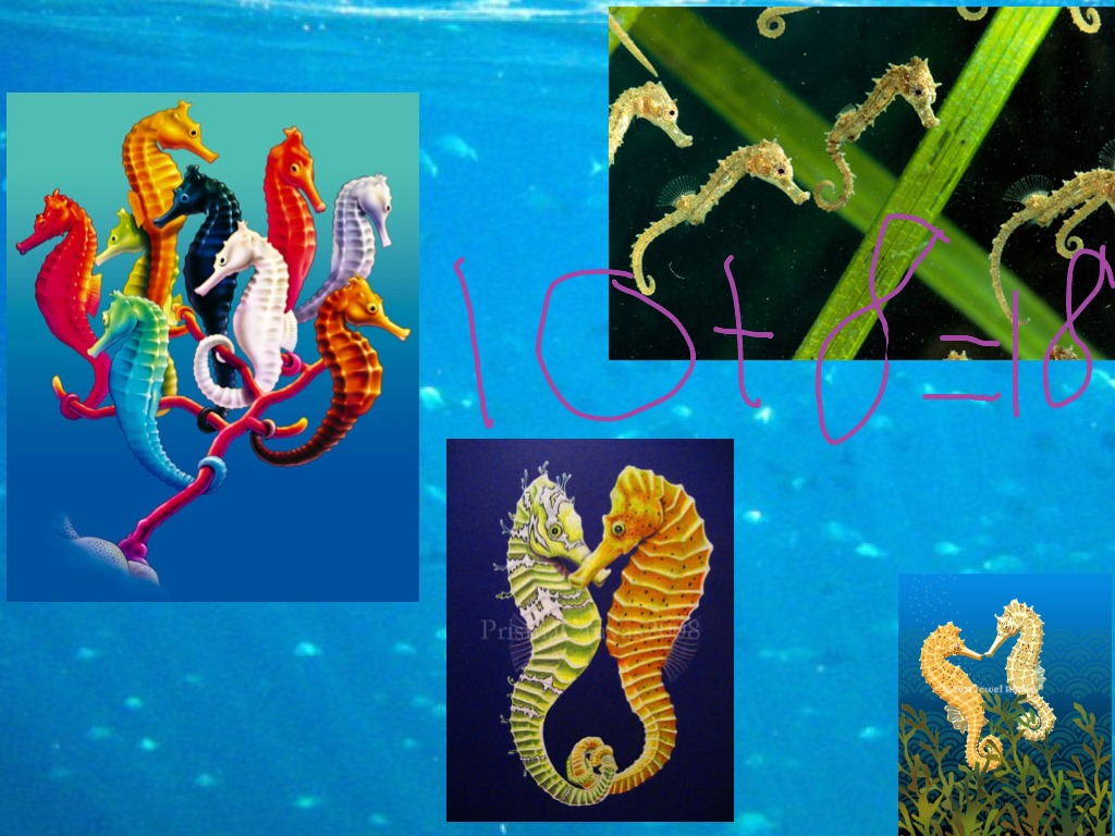 most-viewed-thumbnail