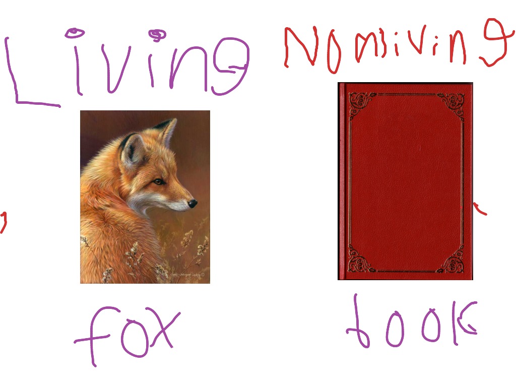 most-viewed-thumbnail