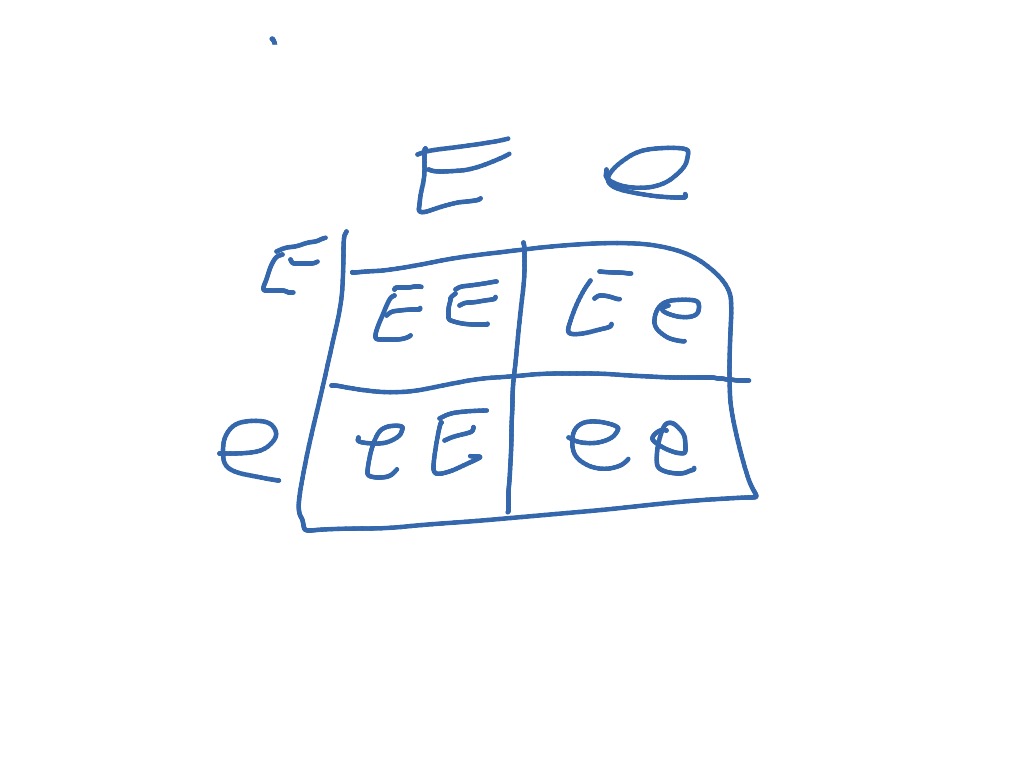 most-viewed-thumbnail