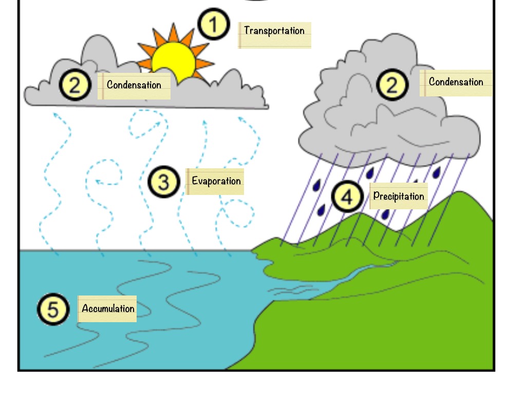 Table 6(Rotation 2) | Science, Earth-science, Weather | ShowMe