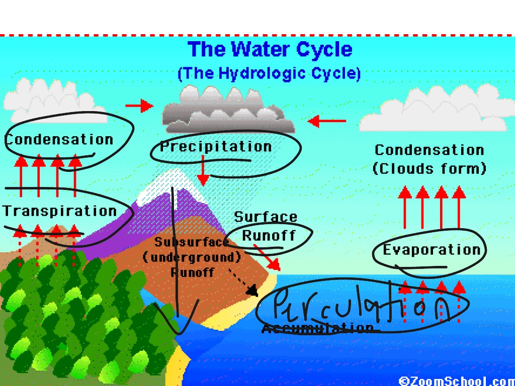 hydrosphere-cycle-geography-showme