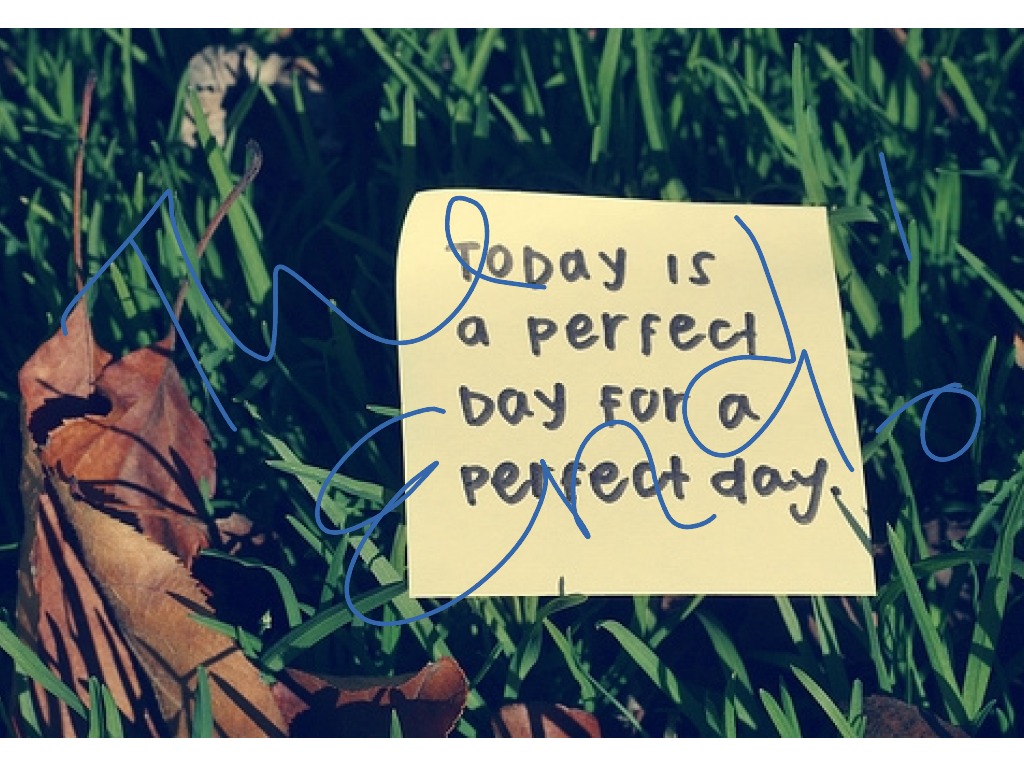 Perfect Day. Excellent Day. Today is the perfect Day.