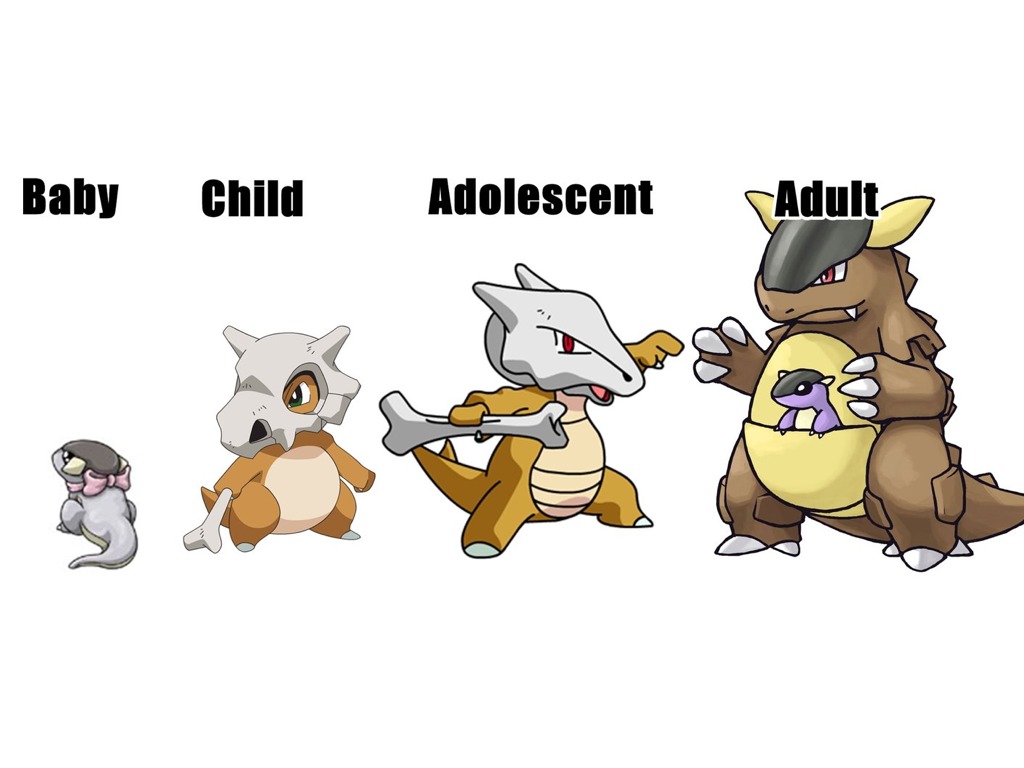 Kangaskhan Evolution Chart - Ponasa