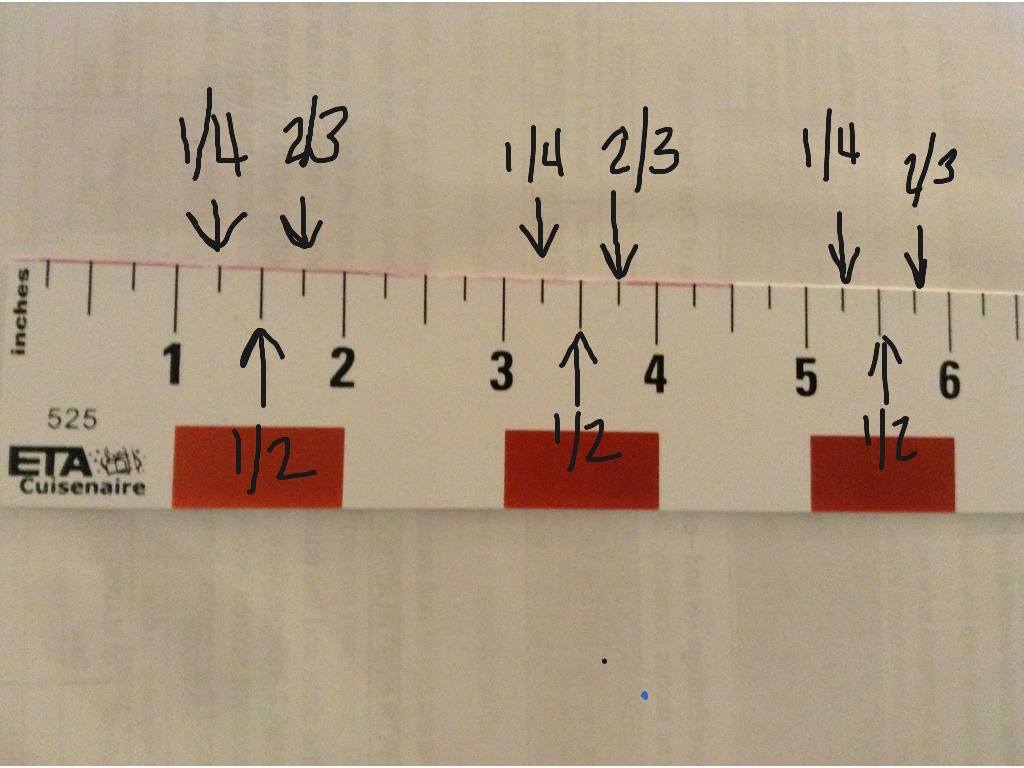 Measuring To The Nearest 14 Inch Math Elementary Math