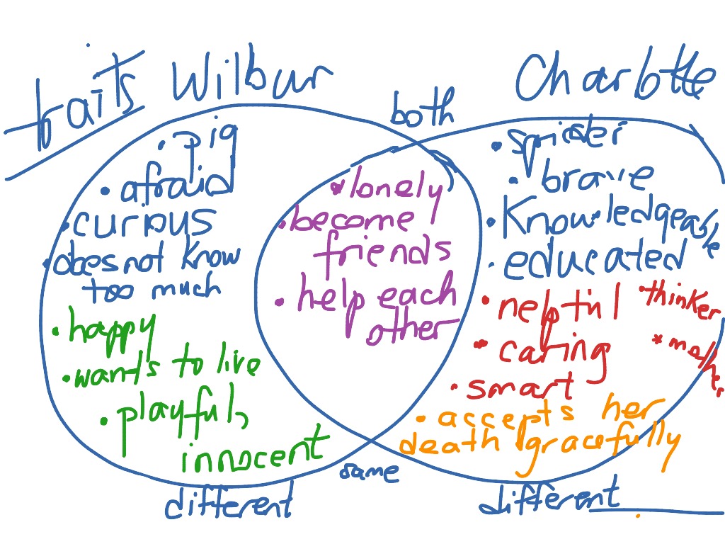 charlotte-venn-diagram-english-writing-esl-esl-writing-showme