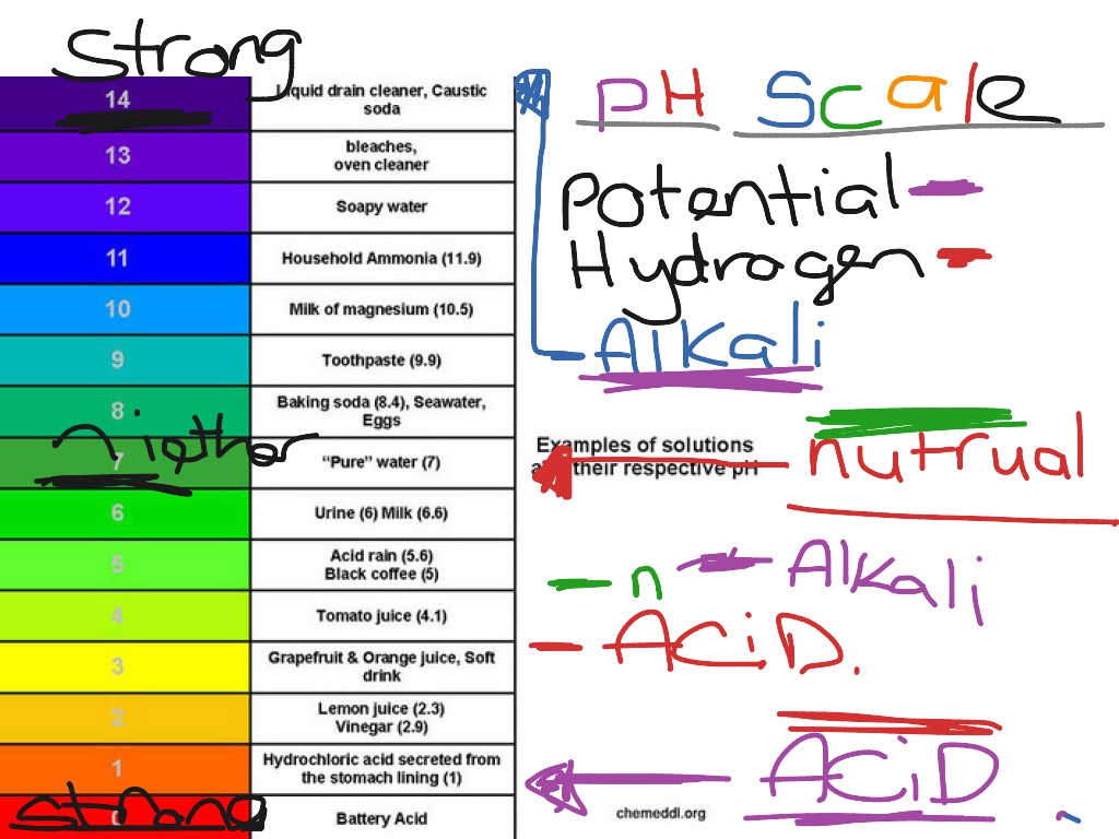 Ph scale | Science, Ph Scale | ShowMe