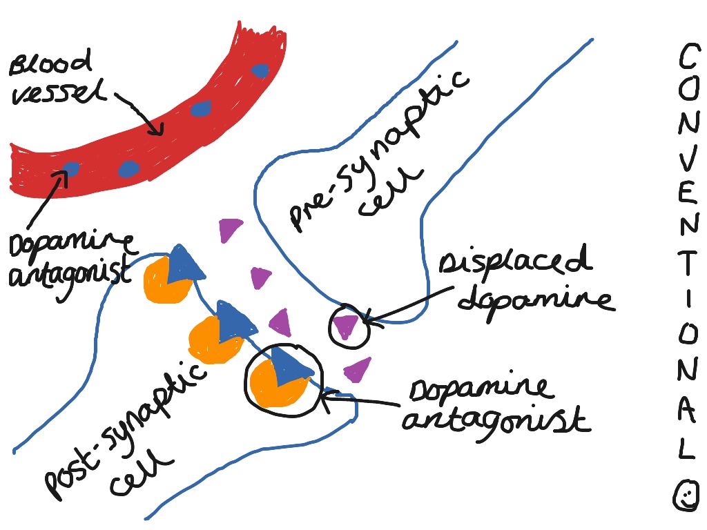 how-conventional-antipsychotic-drugs-work-psychology-showme