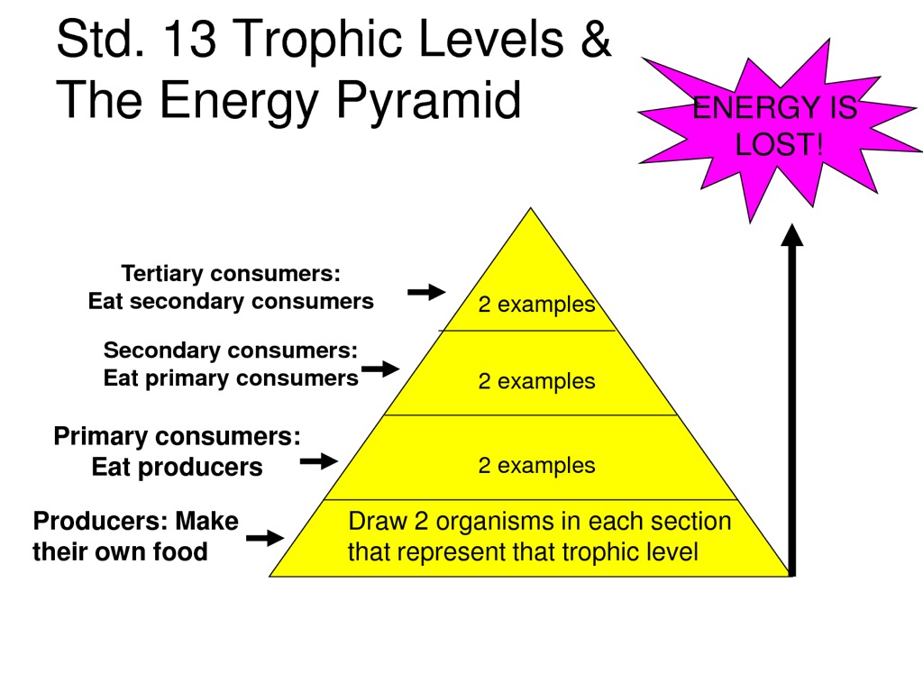 ShowMe - energy pyramid