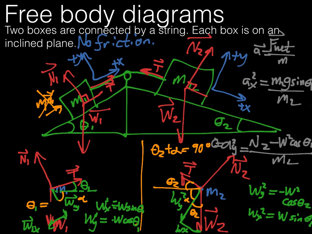 mastering physics body diagrams