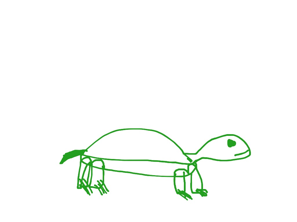 ShowMe - How to draw a turtle