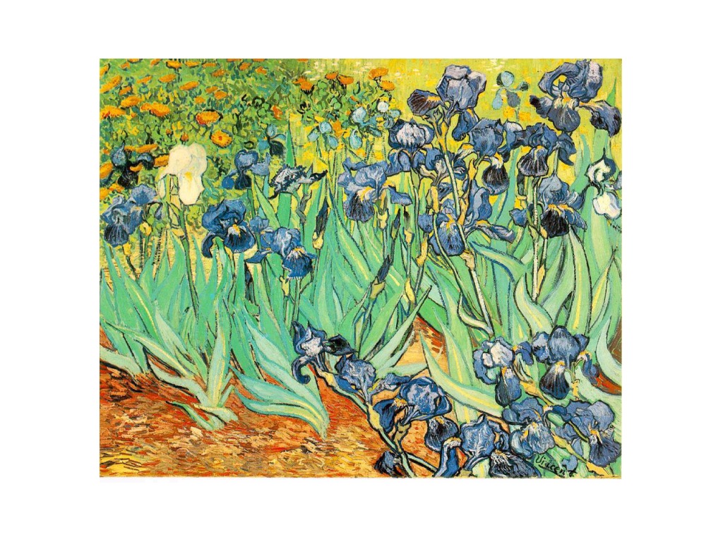 Van Gogh | Art, Art history, Impressionism | ShowMe