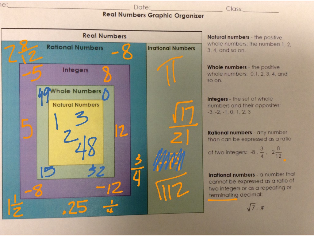 Graphic Organizer Rational Irrational Numbers Math Showme