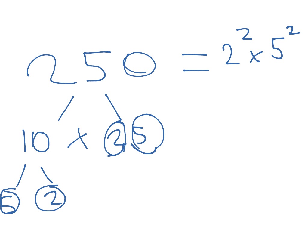 prime-factor-tree-for-250-math-showme