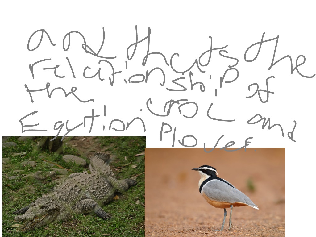 most-viewed-thumbnail